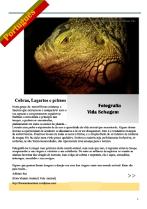 No mundo do réptil - uma publicação de foto animal de Cobras, Lagartos e primos